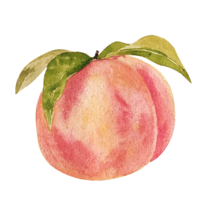2025 Peach Festival Tour + Tasting Package